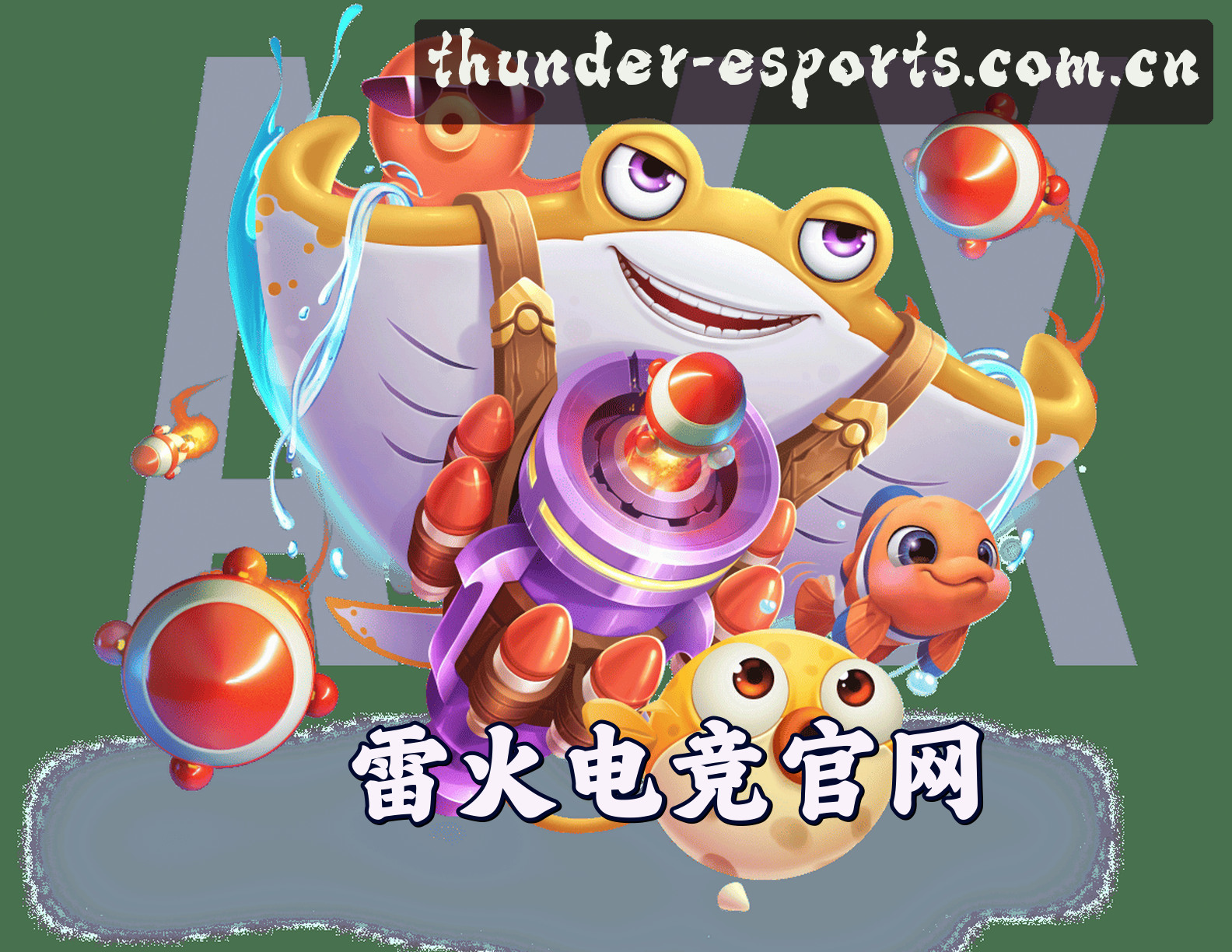 关于我们简介