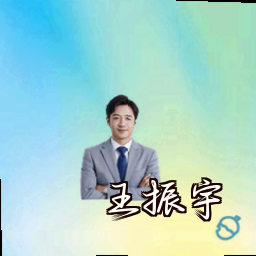 王振宇